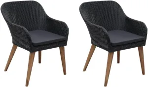 2-Piece Patio Chairs with Cushions PE Rattan Outdoor Lounge Chairs Black Water-Resistant Steel Frame Furniture for Backyard Pool Deck Garden