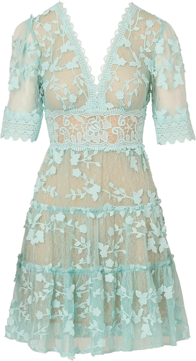 Adrianna Papell Women's Lace Embroidery Dress