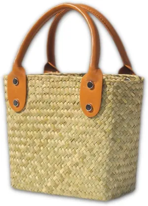 Beach Straw Bag for Women, Natural Straw Tote Bags with Top Handle No Lining Woven Handbag Small Purse for Summer