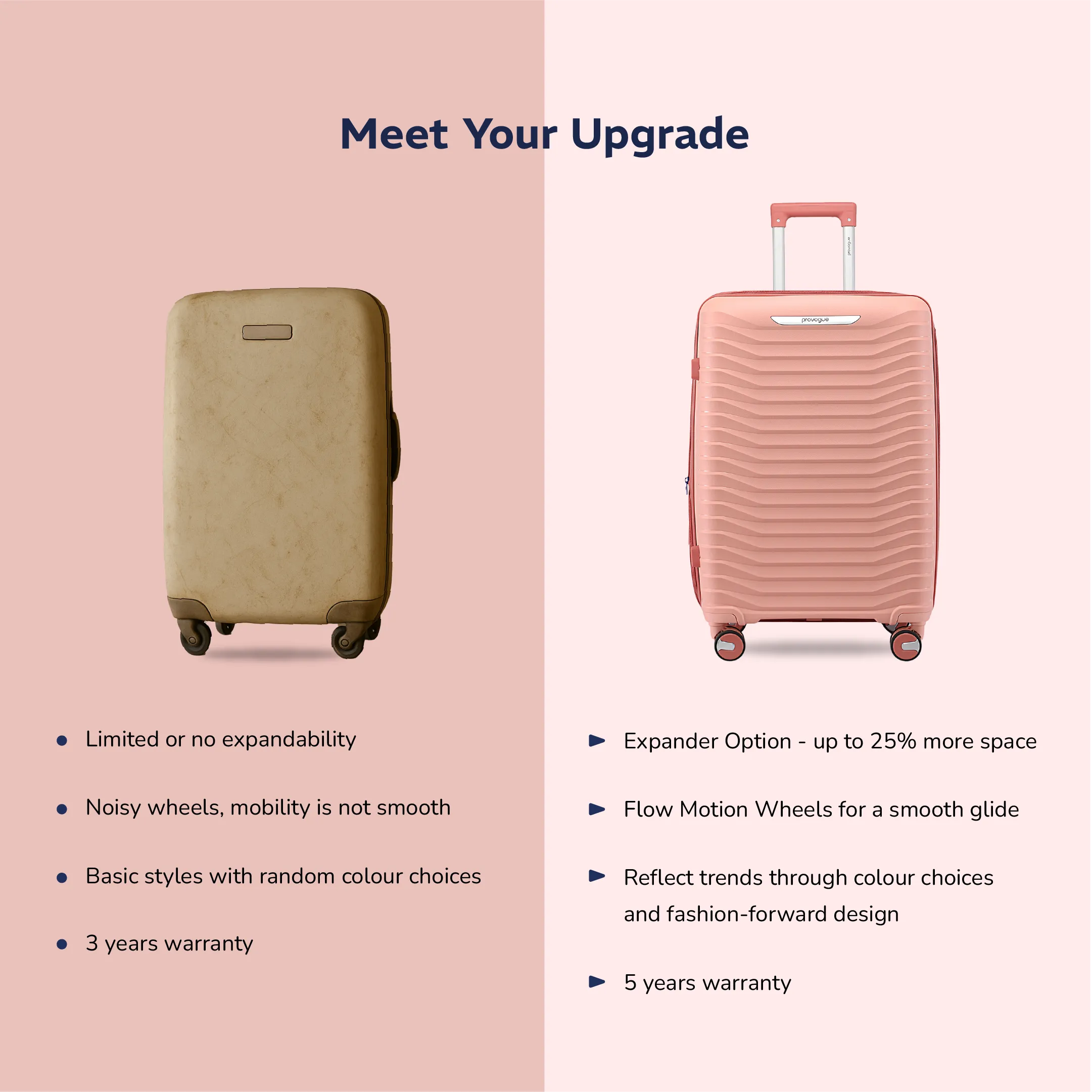 Provogue Coral Large