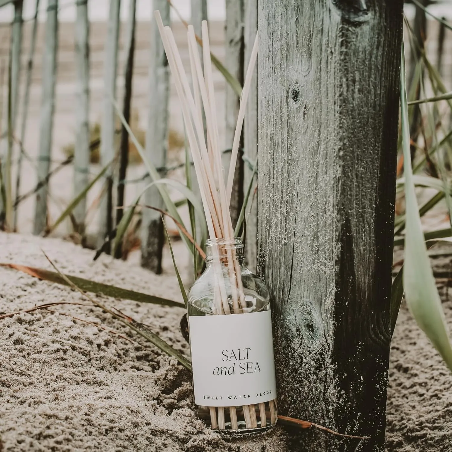 Sweet Water Decor Salt and Sea Reed Diffuser Set - Sea Salt, Citrus, Musk, and Amber Summer Scented Diffuser - Scent Diffusers for Home, Long Lasting Fragrance, Made in the USA