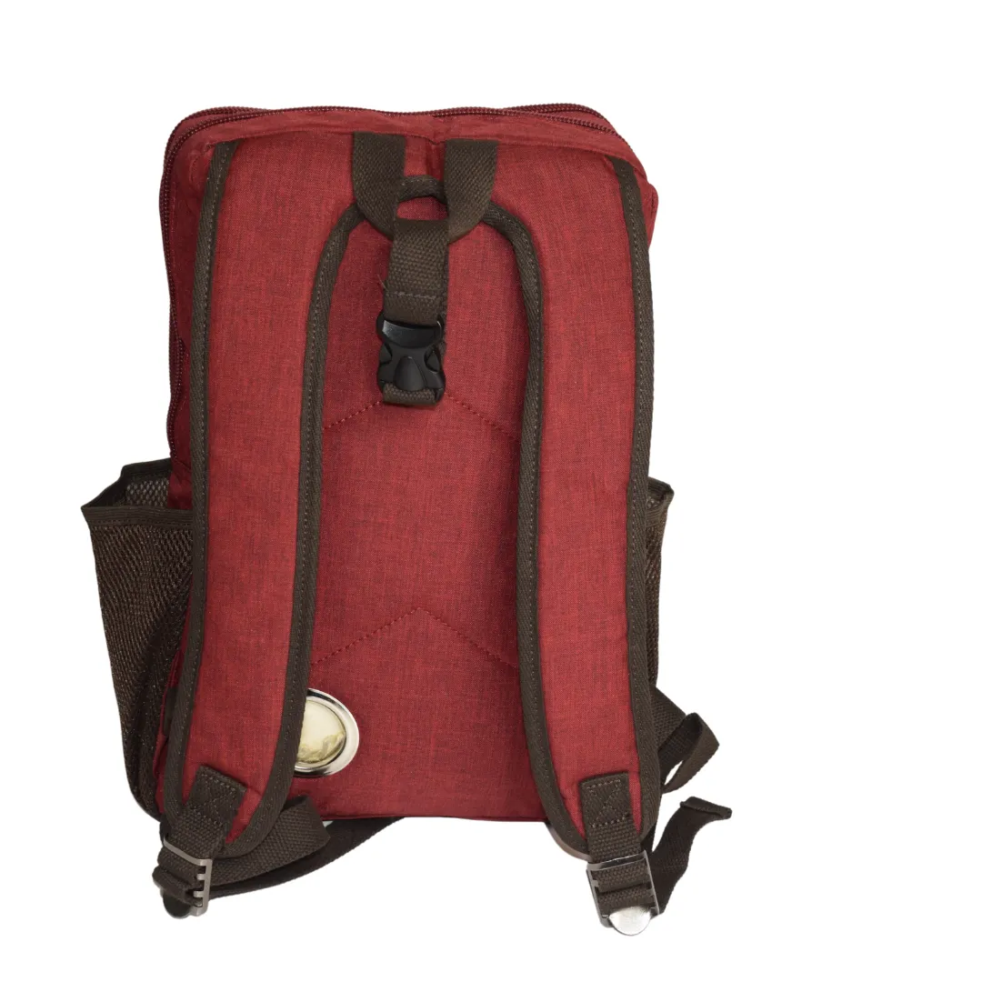 The Red Influencer Backpack