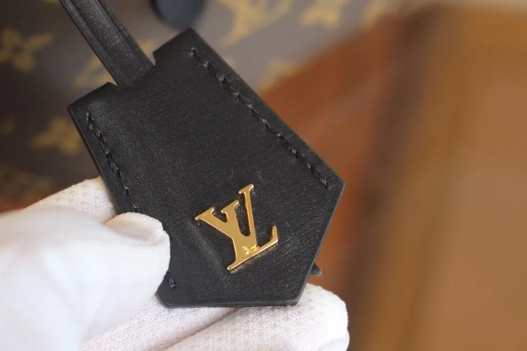 Vuitton PM VANITY CANVAS MONOGRAM Promotional Limited-stock deal 19 Louis